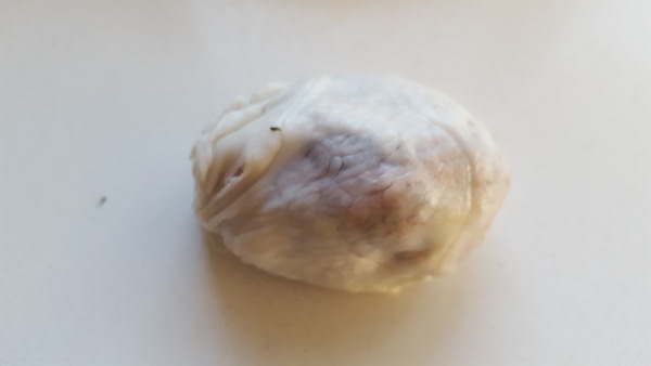 Sheftalia