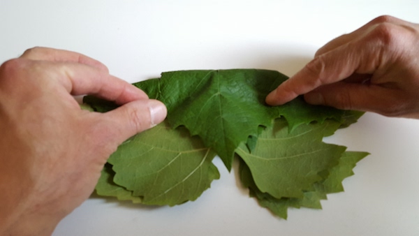 Vinblad
