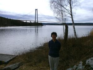 Höga Kustenbron
