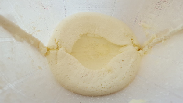 Paneer