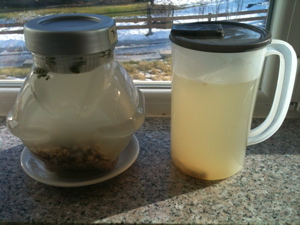 Kvass