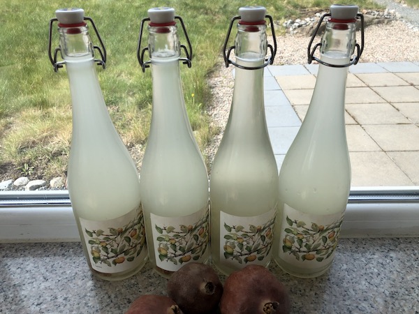 Kvass